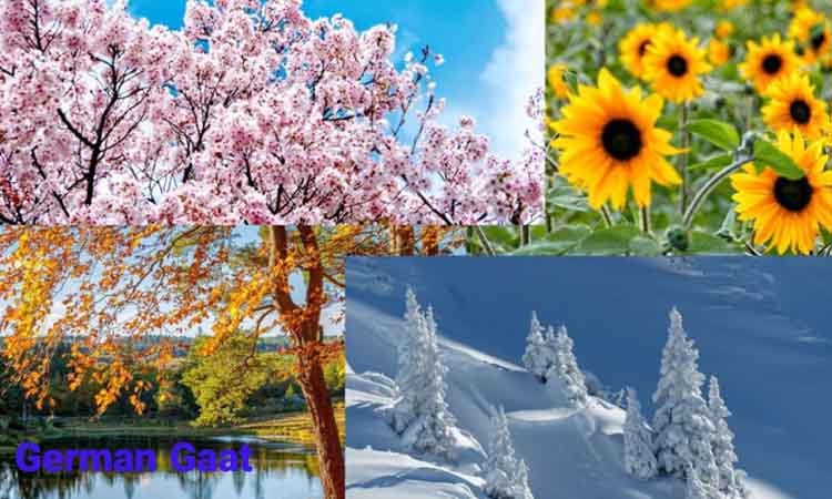 فصل ها به زبان آلمانی