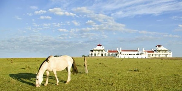 اصطلاحات جالب زبان آلمانی