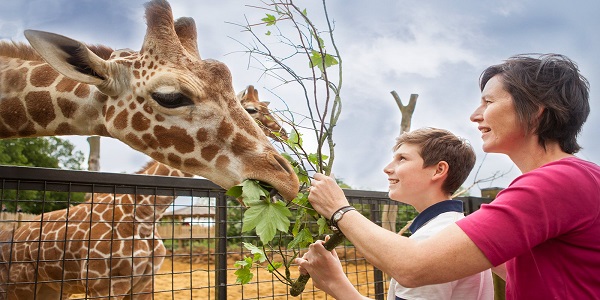 کشور آلمان بیشترین تعداد باغ وحش را دارد